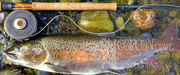 Custom  THOMAS & THOMAS  Rods for specialized Fly Fishing in Mongolia